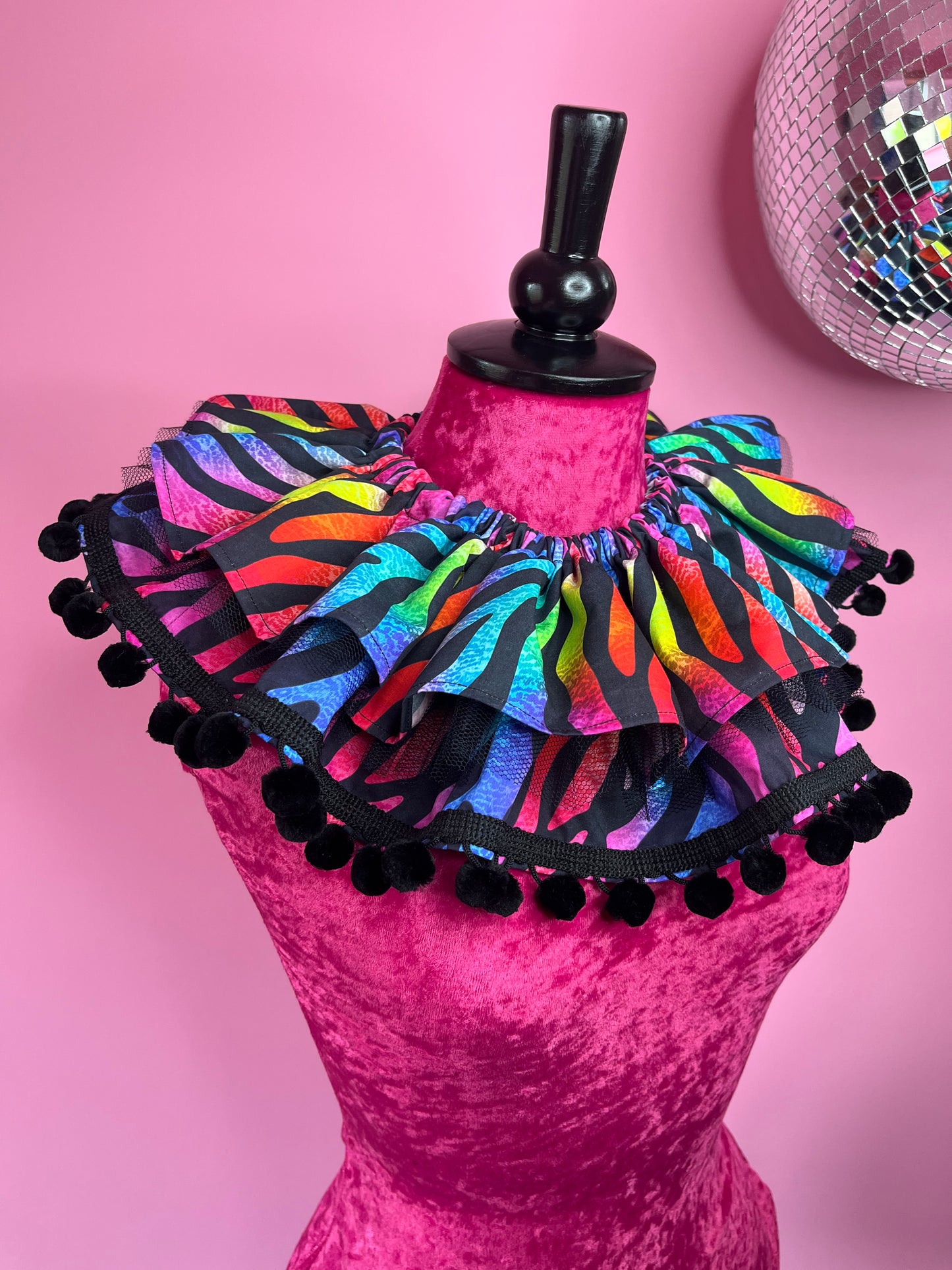 Rainbow Zebra Ruff