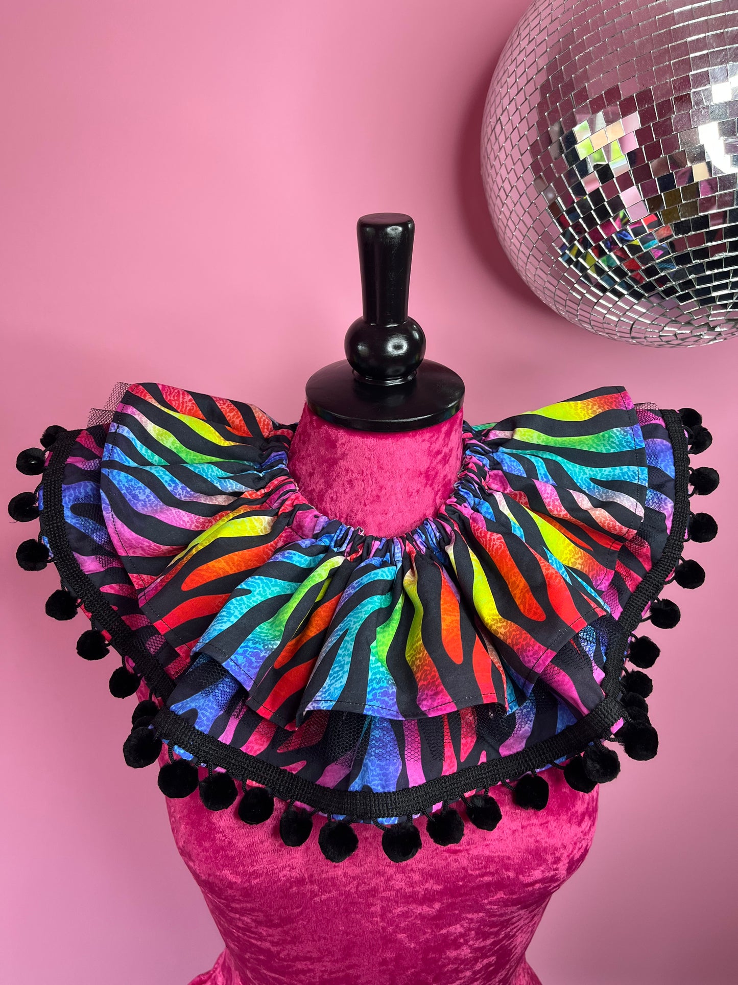 Rainbow Zebra Ruff