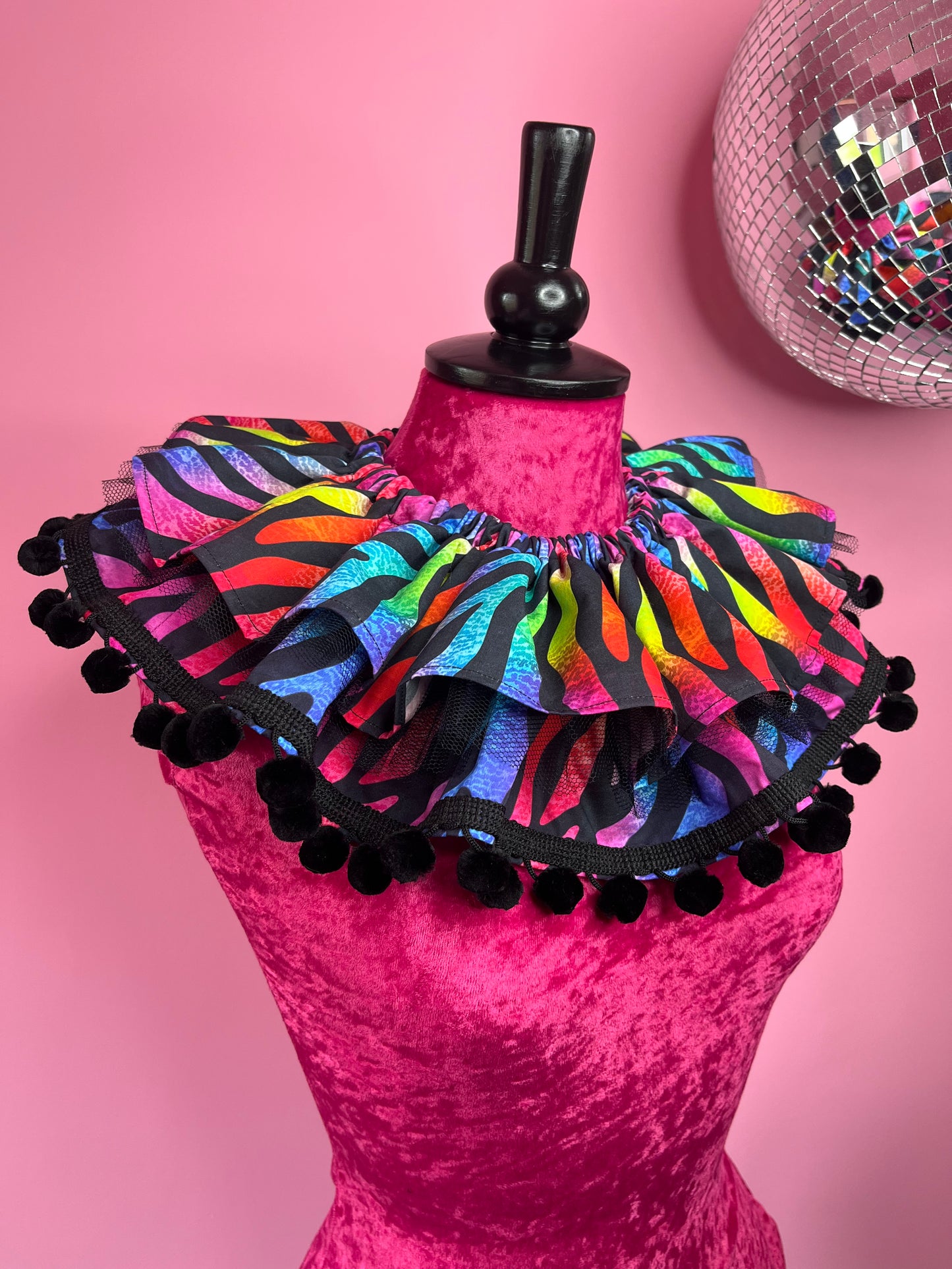 Rainbow Zebra Ruff