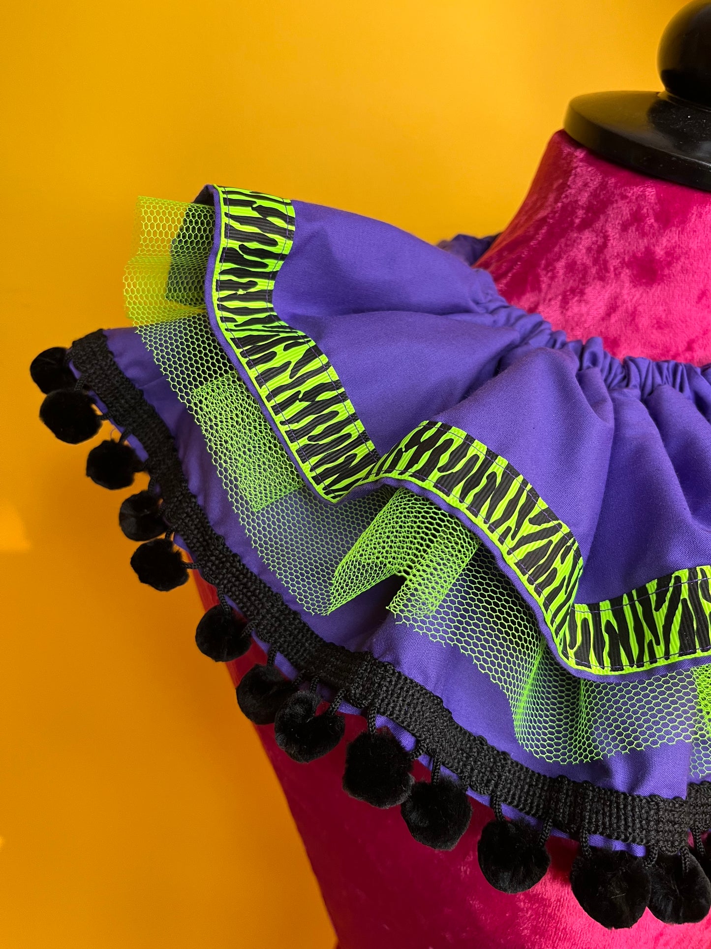Neon Zebra Ruff