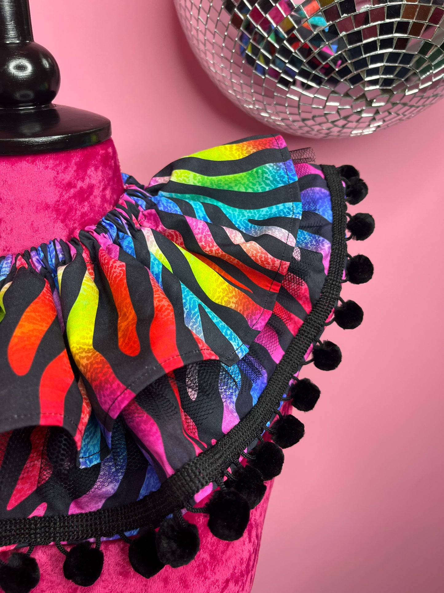 Rainbow Zebra Ruff